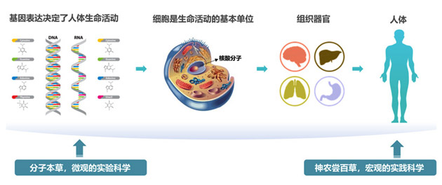 欧博abg官网(Allbet)会员登录入口