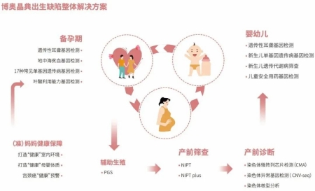 欧博官网晶典出生缺陷整体解决计划